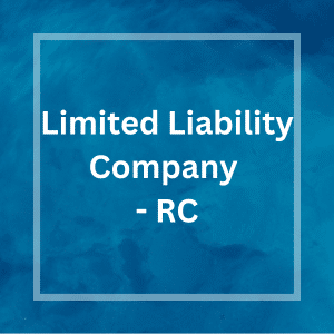 Limited Liability Company - iDigital Concept